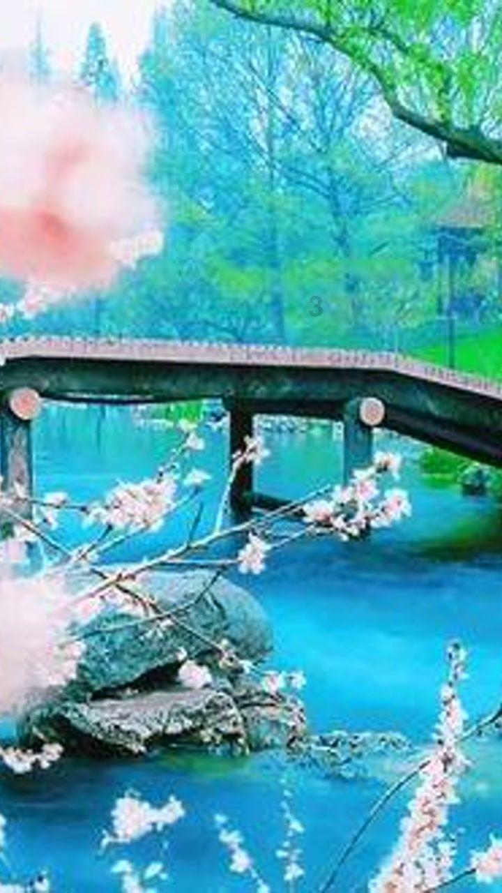 光之子